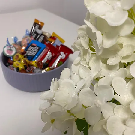 アパート - Alex *